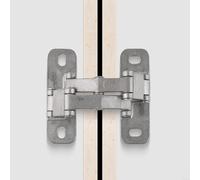Cerniera per porta invisibile in acciaio inossidabile 304 per porte in pietra, fuoco e pozzi in tubo, design ispessito regolabile, capacità di carico 100-400 kg, nascosta 180° (M)
