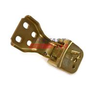 FAST Cerniera portiera inferiore, Sx, posteriore FT95443