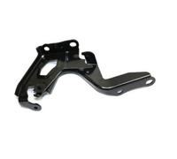 Equal Quality C00271 Cerniera Cofano Anteriore Sinistro