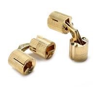 Cerniere a barilotto 2 pezzi 8 mm-18 mm in rame, cilindriche e nascoste, sono armadi nascosti e invisibili for ferramenta for mobili(16mm)
