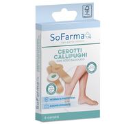 CEROTTO CALLIFUGHI TONDO 6PZ SF+
