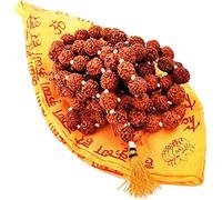Certified Rudraksh Mala with Japa Bag Gaumukhi, Natural Himalayan Genuine Original Rudraksha Rosary Garland Japa Mala, Religious Tibetan Rudraksha Mala Necklace Bracelet Yoga Meditation Bead