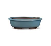 Certrè - Vaso Bonsai Ovale in Gres, Modello Treviso, Made in Italy, Colore Azzurro Cielo (Smaltato)| 25x19x8 cm