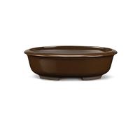 Certrè - Vaso Bonsai Ovale in Gres, Modello Treviso, Made in Italy, Colore Cuoio (Smaltato)| 25x19x8 cm