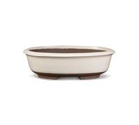 Certrè - Vaso Bonsai Ovale in Gres, Modello Treviso, Made in Italy, Colore Panna (Smaltato)| 25x19x8 cm