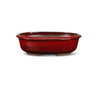 Certrè - Vaso Bonsai Ovale in Gres, Modello Treviso, Made in Italy, Colore Rosso (Smaltato)| 25x19x8 cm