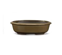 Certrè - Vaso Bonsai Ovale in Gres, Modello Treviso, Made in Italy, Colore Salvia (Smaltato)| 16x12,5x6 cm