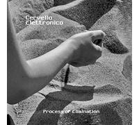 Cervello Elettronico - Process Of Elimination