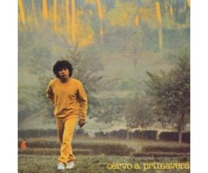 Cervo A Peimavera - Cocciante Riccardo - CD nuovo