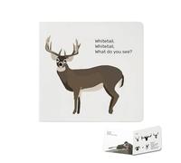 Cervo dalla coda bianca, cervo dalla coda bianca, cosa vedi? Libro interattivo su attrezzatura da caccia e calibri dei fucili - Guida educativa all'aperto per principianti e famiglie (02#)