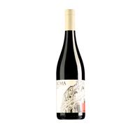 Cesanese del Piglio 'Sapiens' Federici 2023