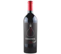Cesanese Lazio IGP 2020 14,5% vol Casale Lucino Olevano Romano Red Light 75cl