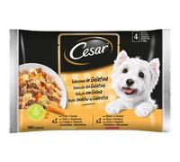 CESAR.13x CANE DELIZIE GELATINA GR.100X4 5900951253577