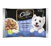 CESAR.13x CANE DELIZIE SENIOR 10+ GR.100X4 5900951253744