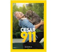 Cesar 911 Season 4 (DVD) Cesar Milan