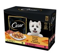 Cesar Dog Selezione Delizie del Giorno Multipack 12x100 gr - In Gelatina - 1° ORDINE? scegli lo sconto BZR5 / BZR20 + 200 punti fedeltà