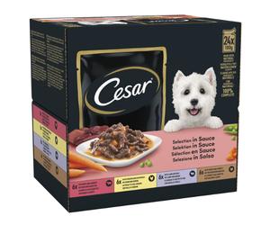 Cesar Dog Selezione in salsa Multipack 24x100 gr Multigusto - 1° ORDINE? scegli lo sconto BZR5 / BZR20 + 200 punti fedeltà