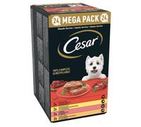 Cesar Dog Terrine Grain Free multipack 24x150 gr - Multigusto - Classic - 1° ORDINE? scegli lo sconto BZR5 / BZR20 + 200 punti fedeltà