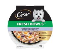 CESAR Fresh Bowl Cani Adulti con Anatra, Riso, Carote, Patate in Salsa 85g, 10 C