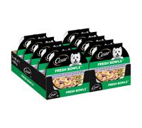 Cesar Fresh Bowls Umido per cane - 10 x 85 g Anatra in salsa