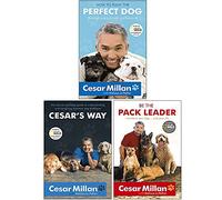 Cesar Millan 3 Books Collection Pack Set - Come allevare il cane perfetto, alla maniera di Cesar e diventare il capobranco