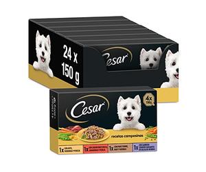 Cesar Multipack Tariffe per alimenti bagnati per cani in salsa, selezione ricette contadini (pack 6 x 4 tariffe x 150g)