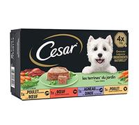 CESAR Pasto per cani - 24 vaschette da 150 g, 4 varietà, cibo umido realizzato con ingredienti naturali
