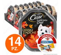 Cesar Ricette di Campagna Cibo per Cani Pollo e Verdurine 150 g