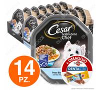 Cesar Scelta dello Chef Cibo per Cani Pesce Riso Verdure - 14 Vaschette da 150g