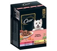 20 + 4 gratis! 24 x 100 g Selezioni Cesar - Selezione Carne e Verdure in Salsa