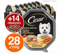 Cesar Selezioni dell'Orto Cibo per Cani con Pollo Carote - 42 Vaschette da 150g