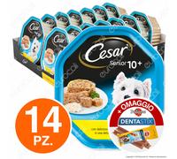 Cesar Senior 10+ Cibo per Cani Pollo e Riso in Gelatina - 14 Vaschette da 150g