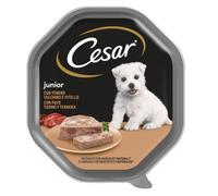 Cesar Vaschetta Junior con Tacchino e Vitello 150gr - Monoporzione per cani fino ad 1 anno di età