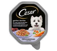 Cesar Vaschette 28 x 150 g Umido per cane - Scelta dello chef: Agnello, Carote e Coriandolo in gelatina