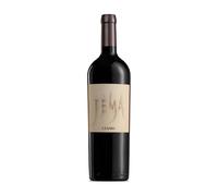 Cesari Jema Corvina Veronese IGT 2017, Vino Morbido, Speziato e Armonico, 13.50% vol, Bottiglia da 750 ml