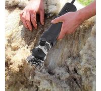 Cesoia per pecore, tosatrice elettrica per lana di pecora, pecore e cavalli, affilatrice elettrica per affilatura di lana 350 W 3600 Rpm