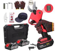 Cesoie da potatura elettriche senza spazzole da 900 W 40 mm Cesoie da potatura per alberi da frutto Bonsai Potatura di rami Utensile elettrico con 2 batterie 21 V