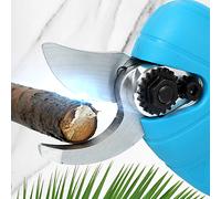 Cesoie elettriche da potatura professionali a batteria da 16,8 V con custodia per il trasporto Batteria ricaricabile da 2000 mAh Potatore per rami di albero da giardino