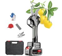 cesoie elettriche, Tagliasiepi elettrico con guanti e cassetta degli attrezzi, forbici elettriche senza spazzole for giardinaggio, siepi, rami e fiori, 21 V, 2,0 Ah, 2 batterie