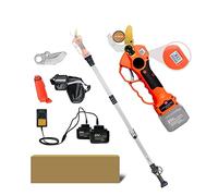 Cesoie elettriche wireless da 25 V 40 mm, taglio efficace, dimensione dei rami di frutta, bonsai, 12 ore di lavoro(Shears pole(Box))