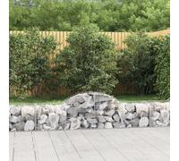 Cesti Gabbioni ad Arco 10 pz 200x50x40/60 cm Ferro Zincato