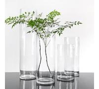 Cestini trasparenti per la crescita delle piante per coltura idroponica per la clonazione di varie verdure (A0 10pcs)
