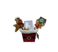 Cestino regalo natalizio lollipop e pan di zenzero con mini panettone Bauli, un lecca lecca e un peluche a forma di omino di pan di zenzero 12 cm regalo natalizio per chi ami