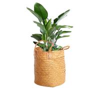 Cestino tessuto - Cestini tessuti per lo stoccaggio | Organizzatore di pascoli marini per scaffali | Cesto portaoggetti appeso | Cesto da parete tessuto fiori | Bohemian Organizer Basket it