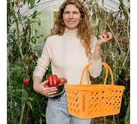 Cesto commerciale in plastica per cestino del supermercato doppi maniglie