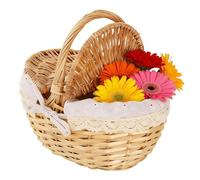 Cesto in per Picnic,Contenitore Rustico con Coperchio - Cesto Portaoggetti in Vimile Intrecciato - per Pane, Bevande, Snack, Frutta, Verdura, Sala da Pranzo, Cucina, Camerata, Escursioni