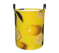 Cesto portabiancheria circolare stampato con stampa di limone giallo, cesto portabiancheria pieghevole in tessuto Oxford, organizer per giocattoli, per bagno, camera da letto, dormitorio universita