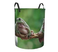 Cesto Portabiancheria Rotondo 60L, Australian White Tree Frog Branch Vestiti Sporchi Cestino Pieghevole Salvaspazio Cesto Per Panni, Per Bagni, Lavanderia, Riporre I Giocattoli