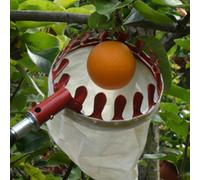 Cesto raccoglitore di frutta Strumento di raccolta più facile per pere,