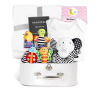 Cesto Regalo per Neonati, 9 Pezzi Regalo per la Nascita del Bambino con Asciugamani da Bagno, Tutina per Neonati, Calzini, Braccialetto elfo, Biglietti di Nascita, Cesti Regalo